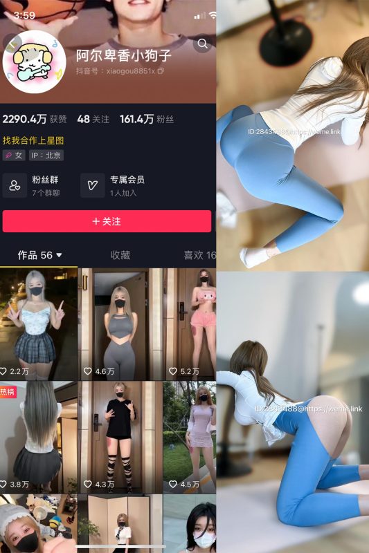 抖音 阿尔卑香小狗子 微密圈  NO.001期 【21P2V】-喵领域