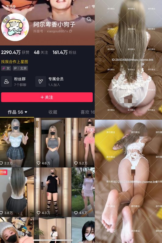 抖音 阿尔卑香小狗子 微密圈 NO.002期 【16P1V】-喵领域