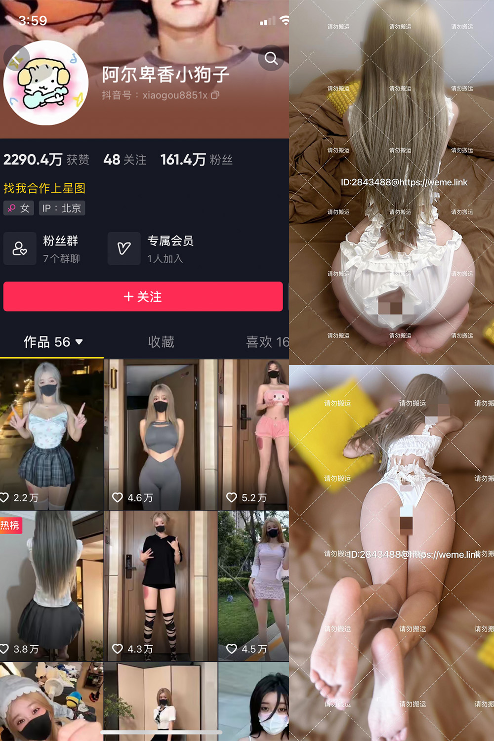 抖音 阿尔卑香小狗子 微密圈  NO.002期 【16P1V】