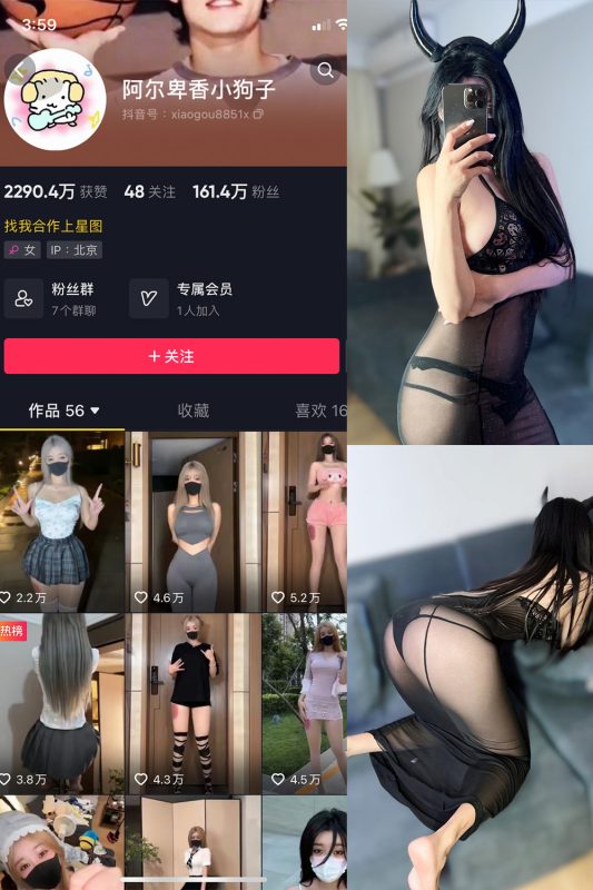抖音 阿尔卑香小狗子 微密圈  NO.003期 【26P2V】-喵领域
