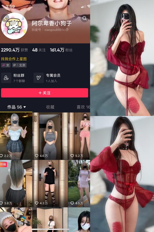 抖音 阿尔卑香小狗子 微密圈  NO.004期 【10P2V】-喵领域