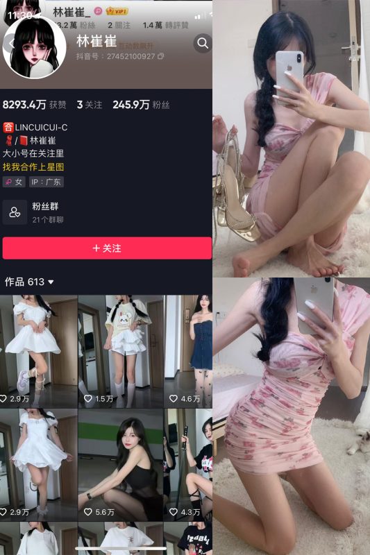 抖音 林崔崔 微密圈  NO.002期 【31P1V】-喵领域