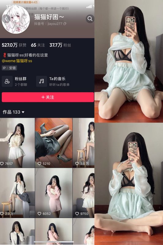 抖音 猫猫好困 微密圈  NO.015期 【18P】-喵领域