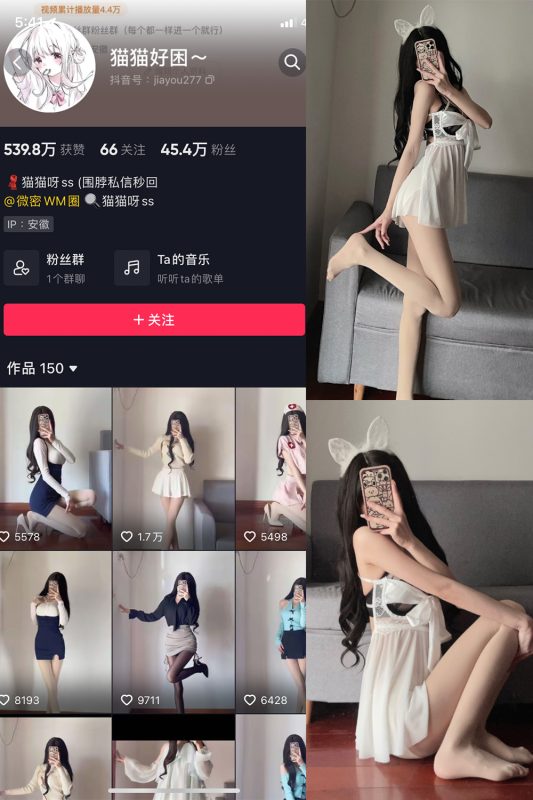 抖音 猫猫好困 微密圈  NO.018期 【22P】-喵领域
