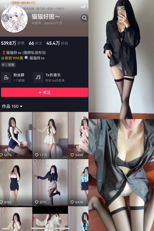 抖音 猫猫好困 微密圈  NO.021期 【22P】-喵领域
