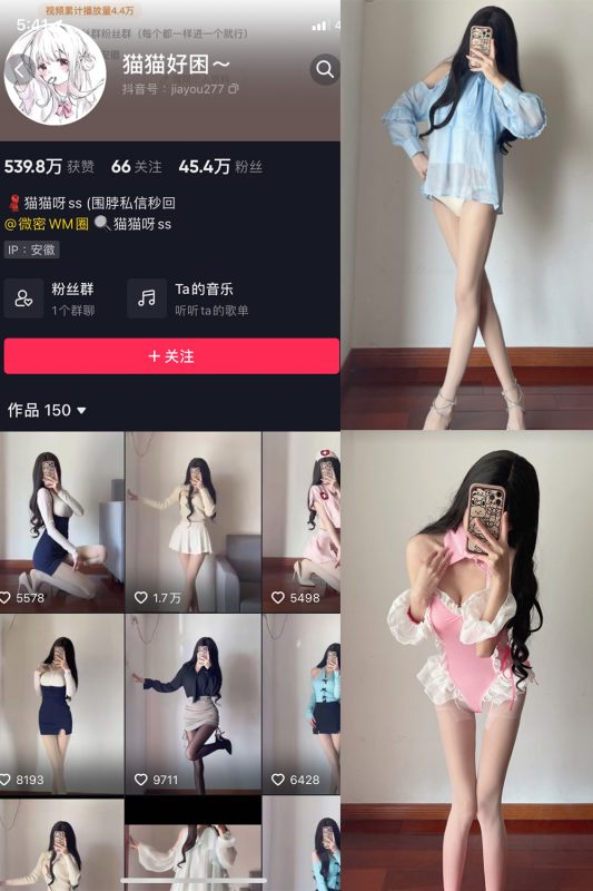 抖音 猫猫好困 微密圈  NO.022期 【18P】-喵领域
