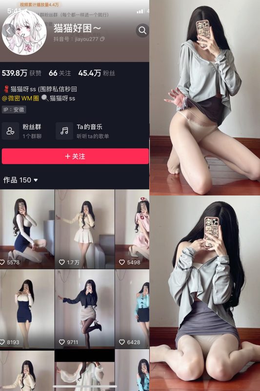 抖音 猫猫好困 微密圈  NO.034期 【23P】最新至：2024.9.17-喵领域
