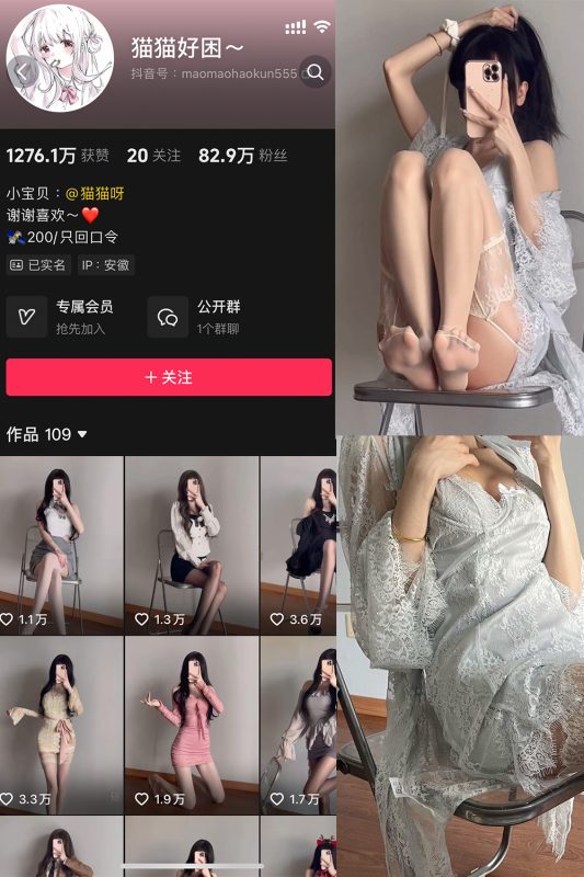 抖音 猫猫好困 微密圈  NO.044期 【4P3V】最新至：2025.4.20-喵领域