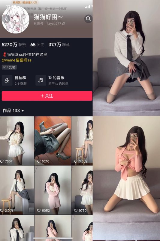 抖音 猫猫好困 微密圈  NO.006期 【24V】-喵领域
