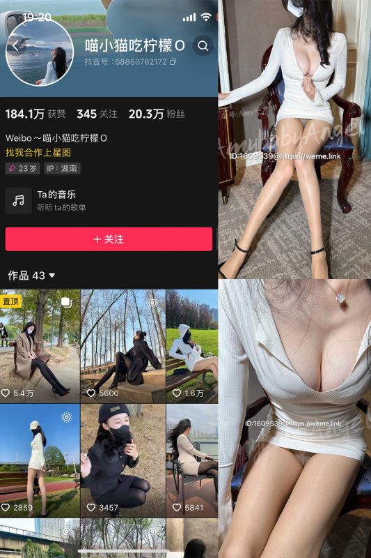 抖音 喵小猫吃柠檬 微密圈  NO.006期 【56P】-喵领域