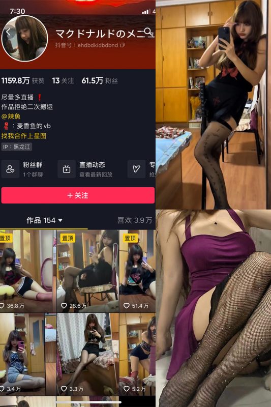 抖音 麦香鱼 微密圈 NO.004期 【5P2V】最新至：2023.7.27-喵领域