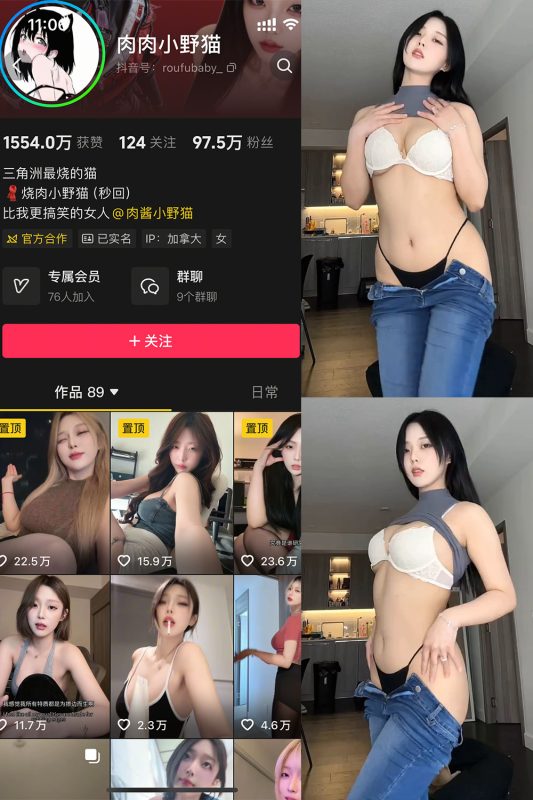 抖音 烧肉小野猫 幻宇星球 NO.001期 【9P6V】-喵领域