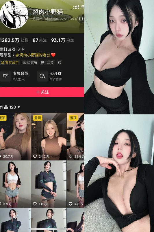 抖音 烧肉小野猫 秘语空间 NO.001期 【12P4V】-喵领域