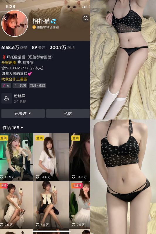 抖音 相扑猫 微密圈 嘉宾贴 NO.030期 【19P】最新至：2023.11.19-喵领域