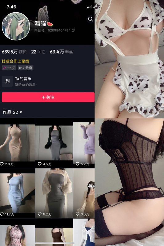 抖音 瀛猫 微密圈  NO.013期 【8P】最新至：2023.7.31-喵领域