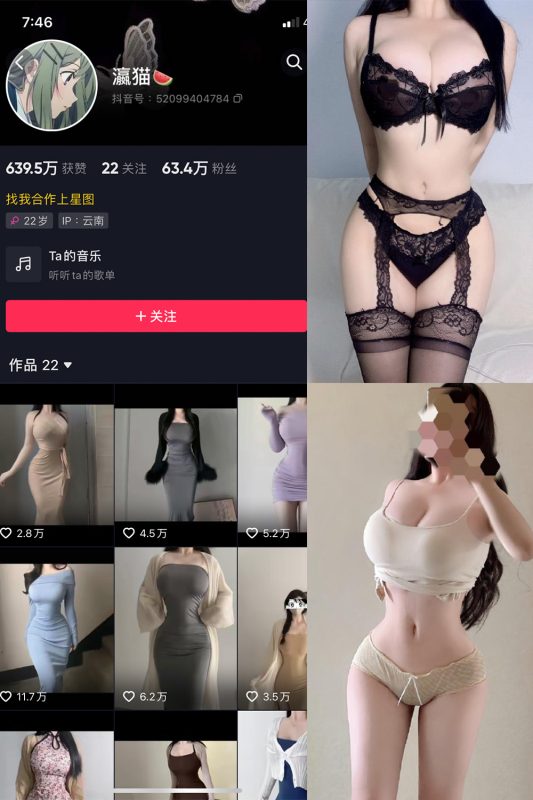 抖音 瀛猫 微密圈  NO.040期 【14P1V】最新至：2024.3.28-喵领域